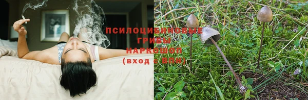 соль курить ск Балабаново