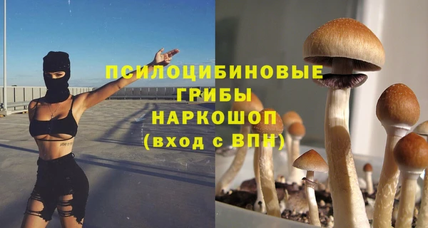 скорость Баксан