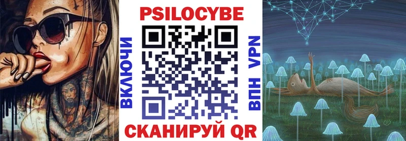 Псилоцибиновые грибы Psilocybine cubensis  Балтийск 