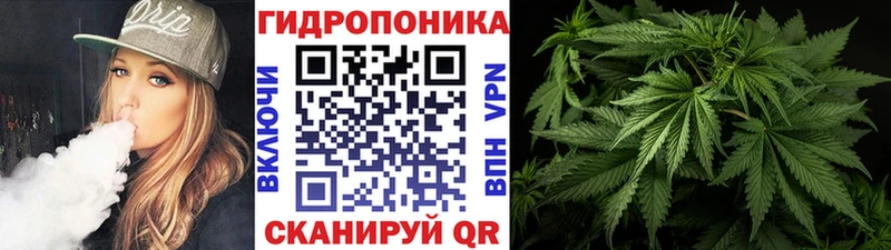 Конопля White Widow  сколько стоит  Балтийск 